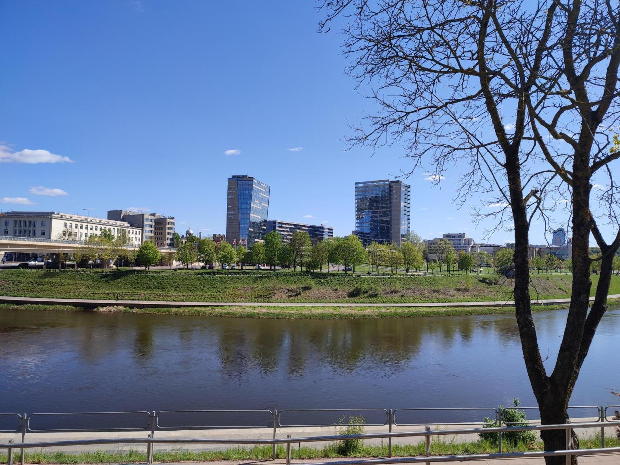 Shortstopstudent * Vilnius